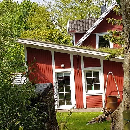 An Der Schafsweide Apartamento Aukrug Exterior foto